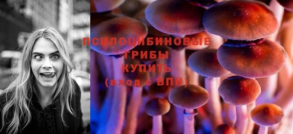 стаф Горно-Алтайск