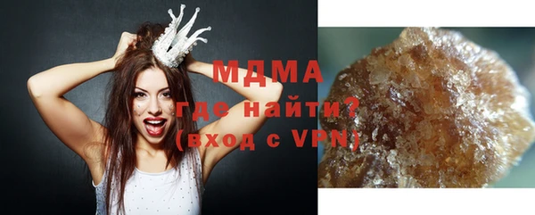 мдпв Гусев