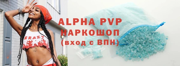 мдпв Гусев