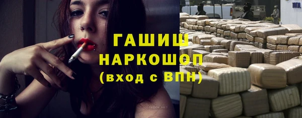 мдпв Гусев