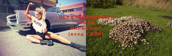 таблы Горняк