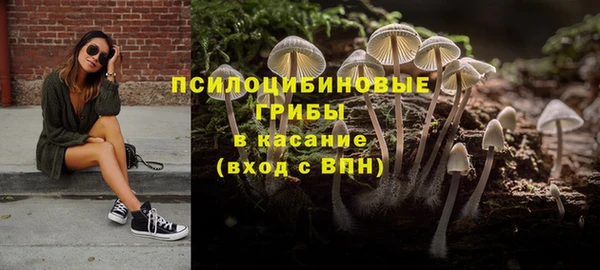 дмт Горнозаводск