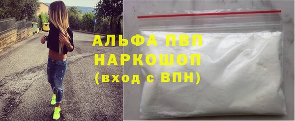 мдпв Гусев